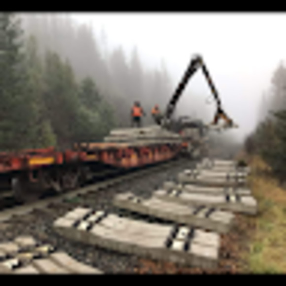 Meet your Posher, Trevor - Picture 1 of 1